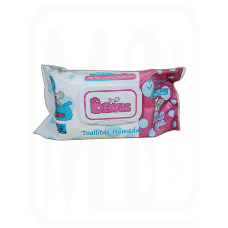 TOALLITAS GRANDES CON TAPA PACK-120