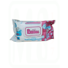 TOALLITAS GRANDES CON TAPA PACK-120