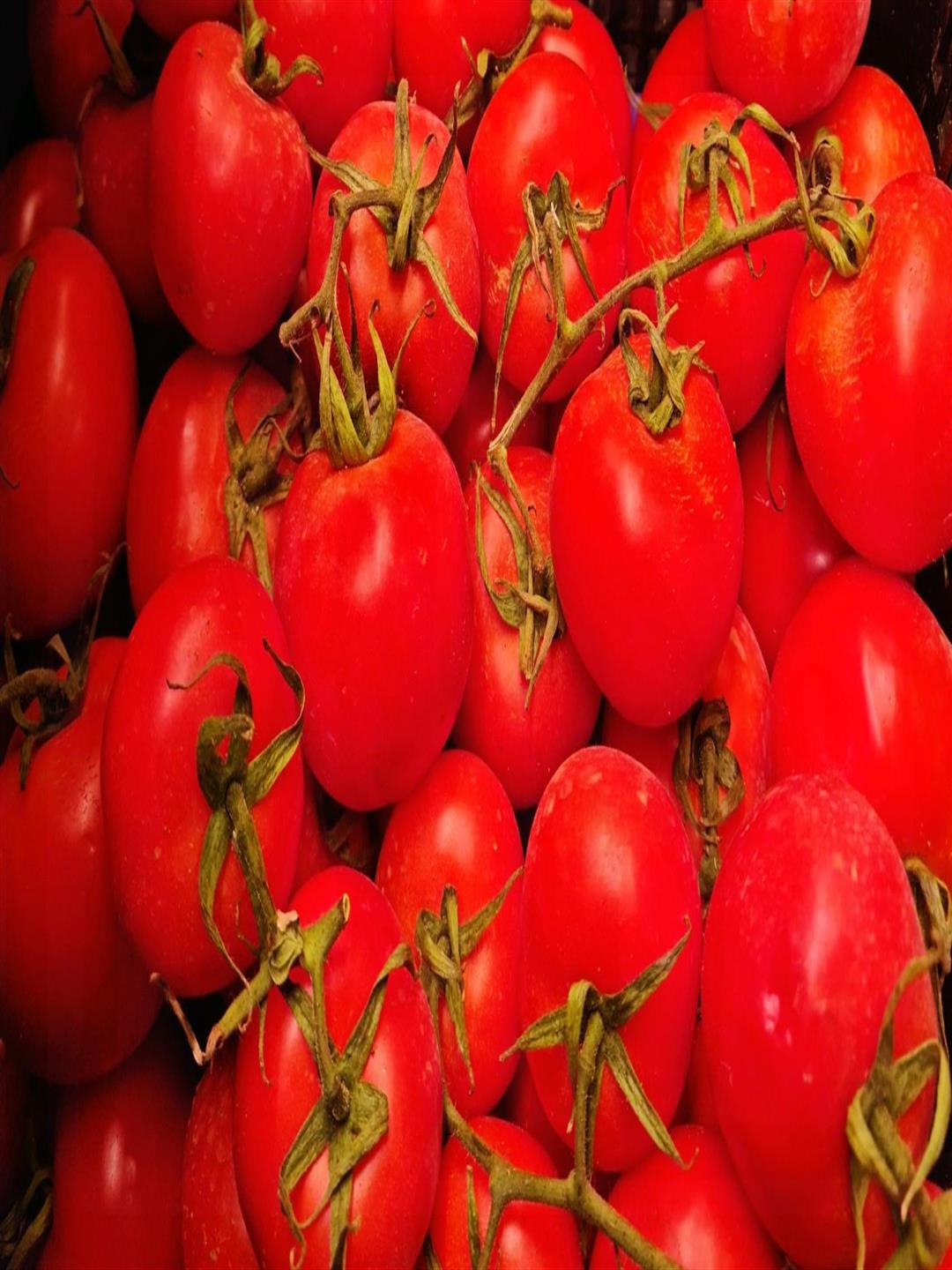 TOMATE RAMA FRESCO GRANEL KILO