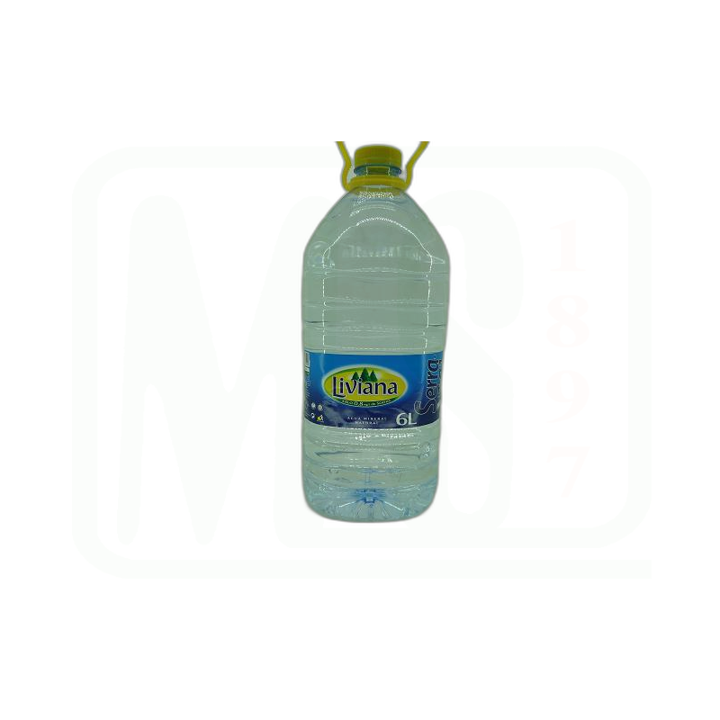 AGUA MINERAL 6 LT