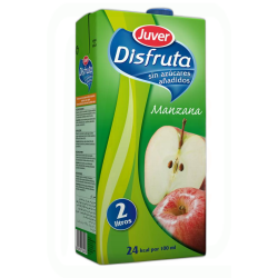 NECTAR DISFRUTA MANZANA 2 LT