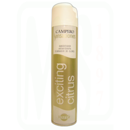 AMBIENTADOR CLASSIC SPRAY 300 ML