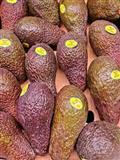 AGUACATE EXTRA FRESCO GRANEL
